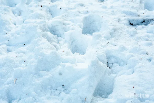 高清摄影 雪地中的足迹