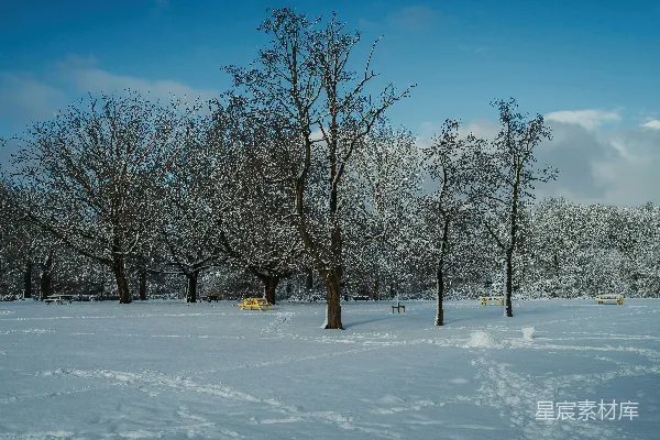 高清摄影 冬日雪景中的宁静公园