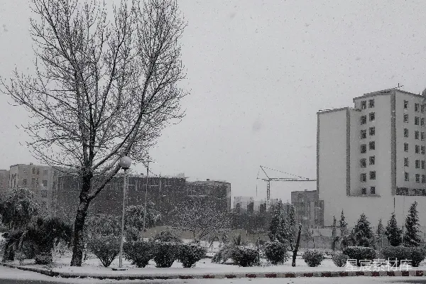 高清摄影 冬日雪景下的城市角落