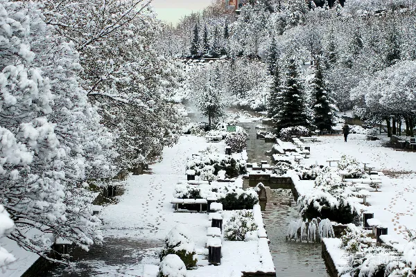 高清摄影 冬日雪景中的宁静公园