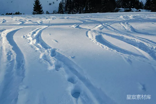 高清摄影 雪地中的动物足迹