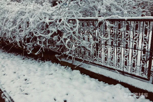 高清摄影 雪后的铁艺栏杆