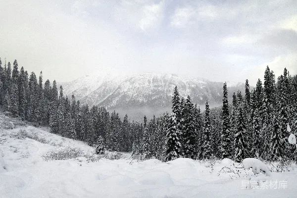 高清摄影 冬日雪景