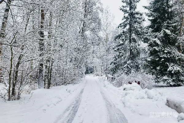 高清摄影 雪后的森林小径