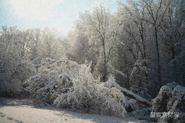 高清摄影 冬日晨曦雪景