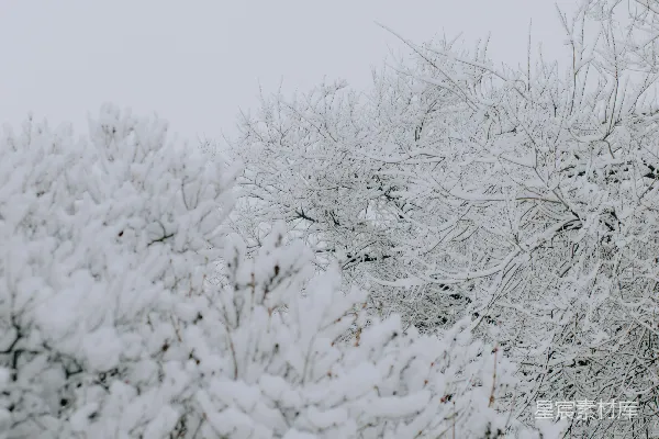 高清摄影 冬日雪景
