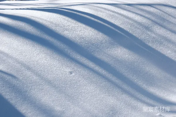 高清摄影 雪地上蜿蜒的影子