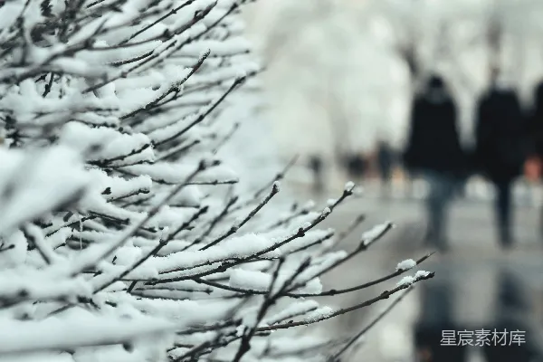 高清摄影 冬日的雪景与行人