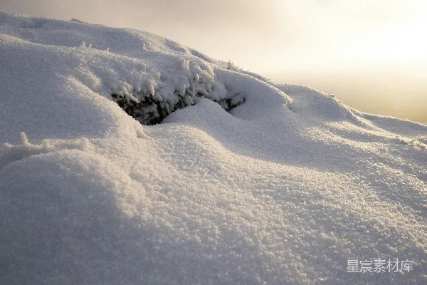 高清摄影 冬日晨曦下的雪地