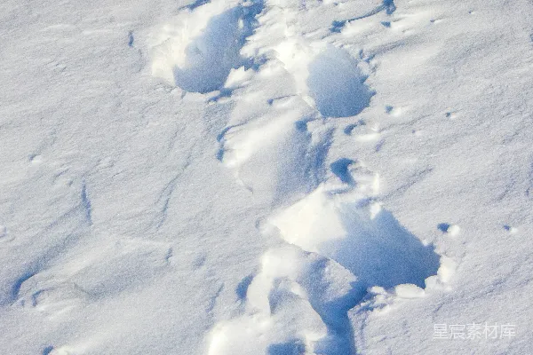 高清摄影 雪地上的动物足迹