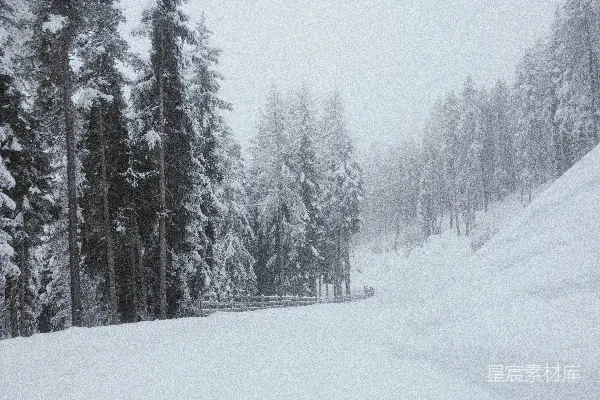 高清摄影 雪中的森林小径