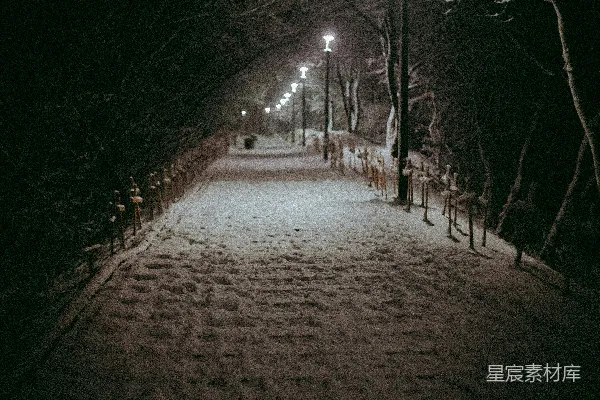 高清摄影 冬夜小径