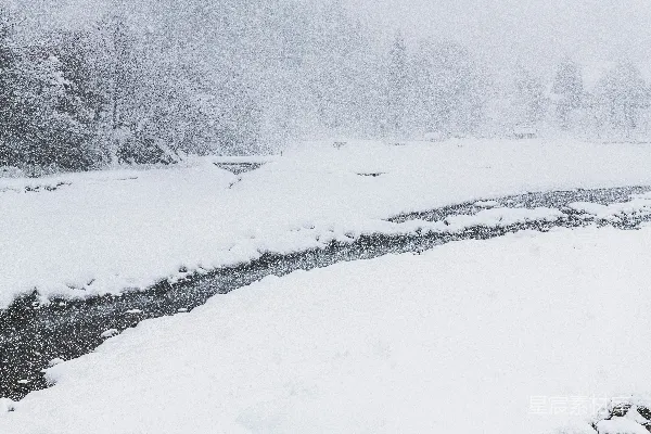 高清摄影 雪景中的河流
