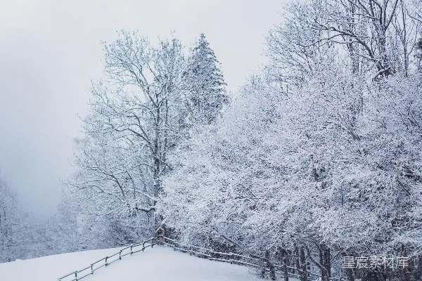 高清摄影 冬日雪景中的木栈道