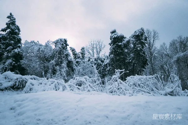 高清摄影 冬日雪景