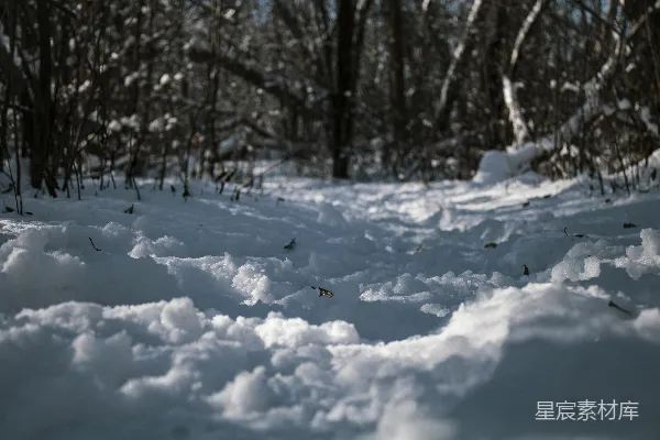 高清摄影 冬日雪地