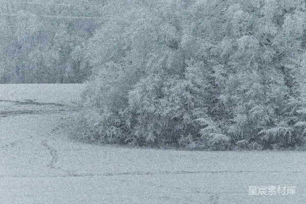 高清摄影 冬日雪景：静谧的田野与覆盖白雪的树木