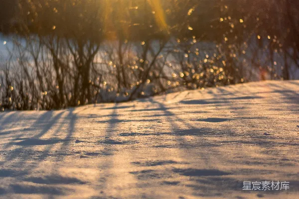 高清摄影 冬日暖阳下的雪地