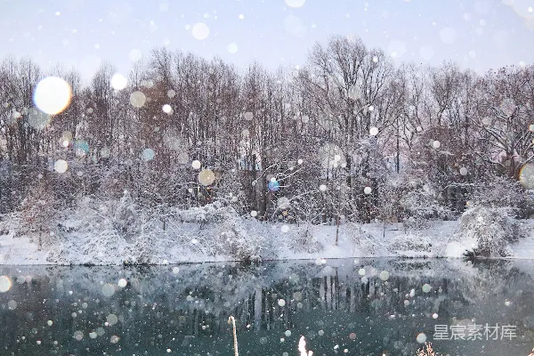 高清摄影 冬日湖畔雪景