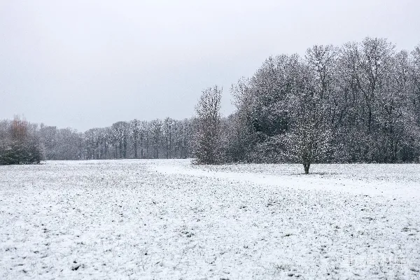 高清摄影 雪后静谧的田野