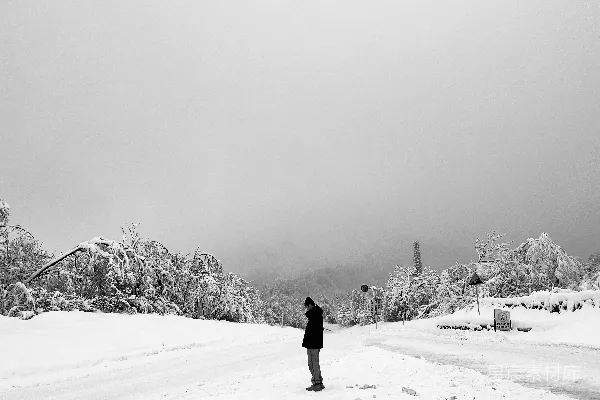 高清摄影 雪中独行者