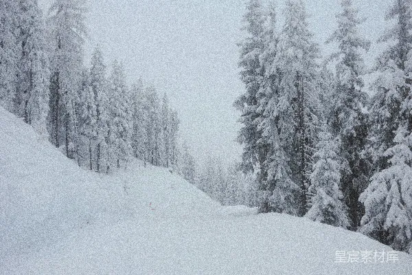 高清摄影 冬日雪景中的森林小径