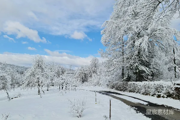 高清摄影 冬日雪景中的乡村小路