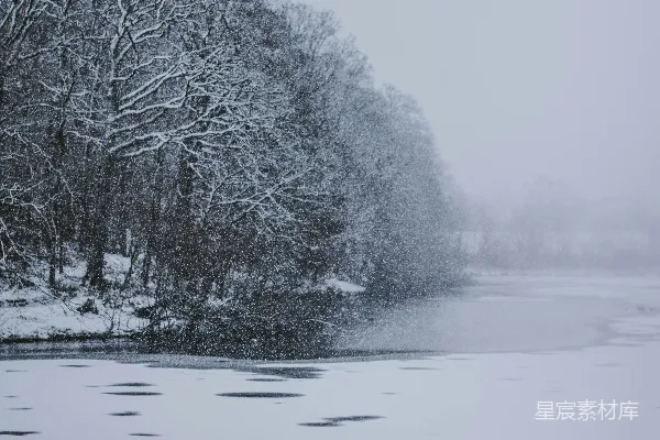 高清摄影 冬日雪景：湖边的静谧时光