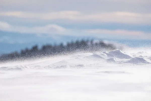 高清摄影 冬日雪景中的风雪飘扬