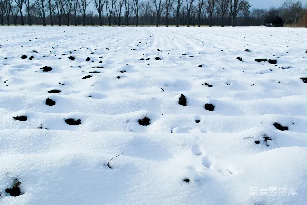 高清摄影 雪地上的足迹
