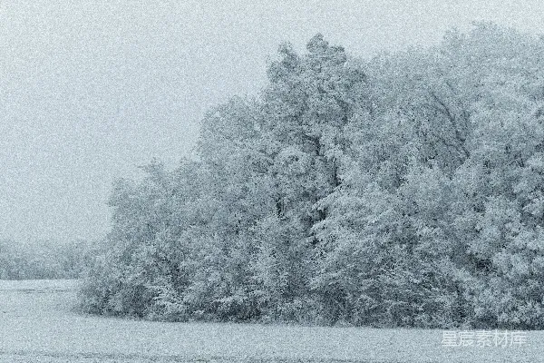 高清摄影 冬日雪景