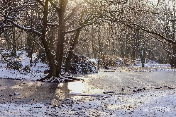 高清摄影 冬日雪景中的静谧湖泊