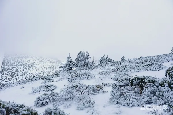 高清摄影 冬日雪景：雾中静谧的山林
