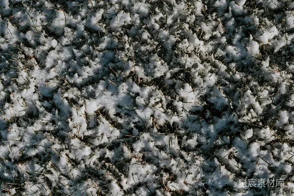 高清摄影 冬日草地上的雪