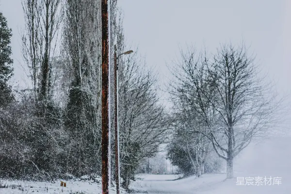 高清摄影 雪中的路灯与电线杆