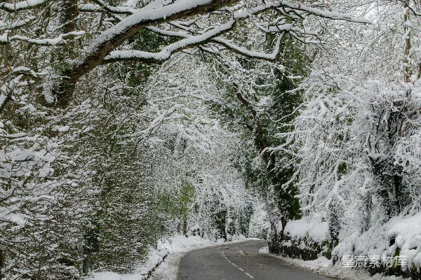 高清摄影 雪覆盖的林间小路
