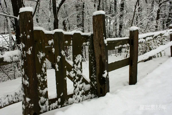 高清摄影 雪中的木栅栏