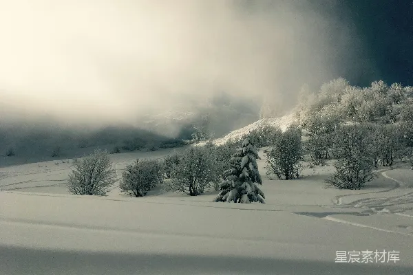 高清摄影 冬日雾凇下的宁静雪景