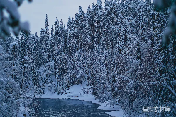 高清摄影 冬日雪景中的河流