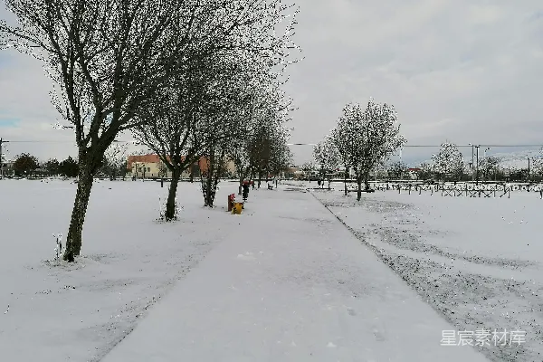 高清摄影 雪后的宁静公园