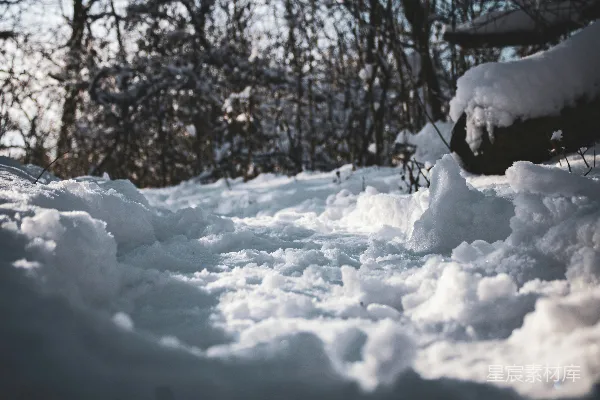 高清摄影 冬日雪景