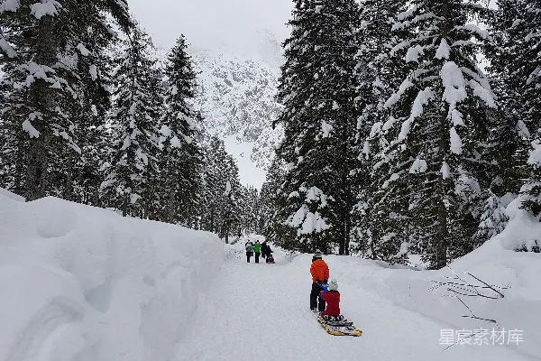 高清摄影 雪景中的家庭滑雪之旅