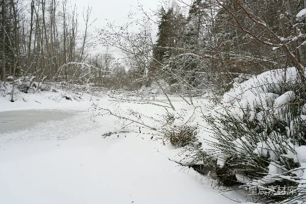 高清摄影 冬日雪景中的静谧小湖