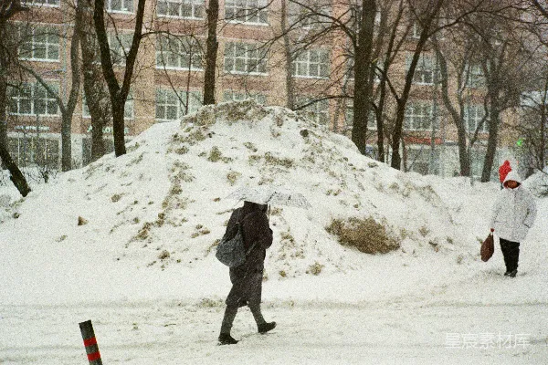 高清摄影 雪地里的冬日漫步