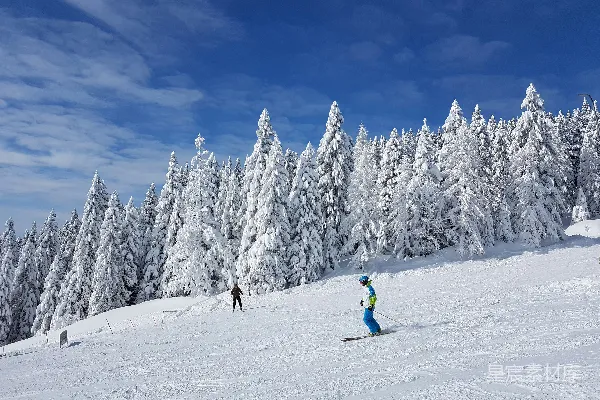 高清摄影 滑雪季的雪林冒险