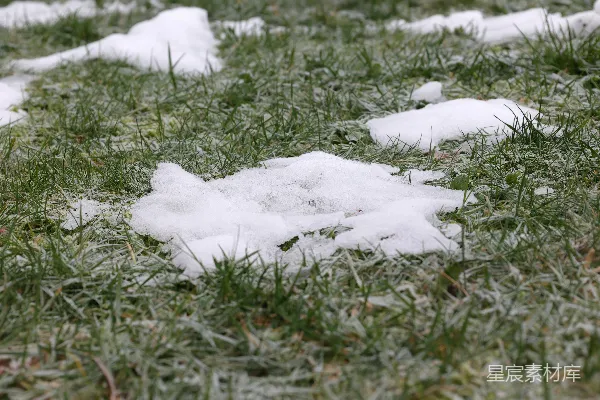 高清摄影 冬日草地上的积雪