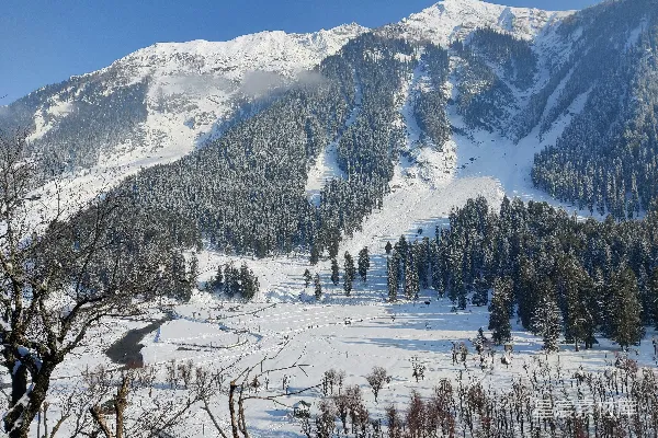 高清摄影 雪域冬景：山峦与森林的静谧之美