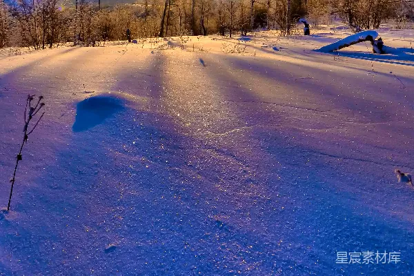 高清摄影 冬日雪地的光影游戏