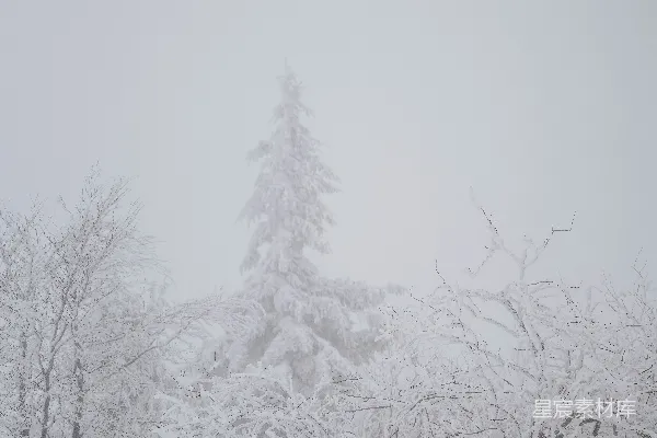 高清摄影 冬日雪景