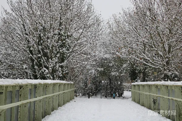 高清摄影 冬日雪景中的铁桥